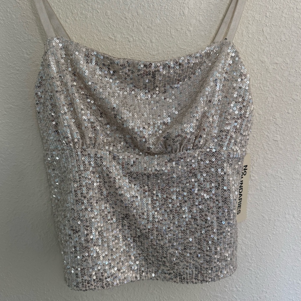 No Boundaries Shimmering Silver Sequin Camisole